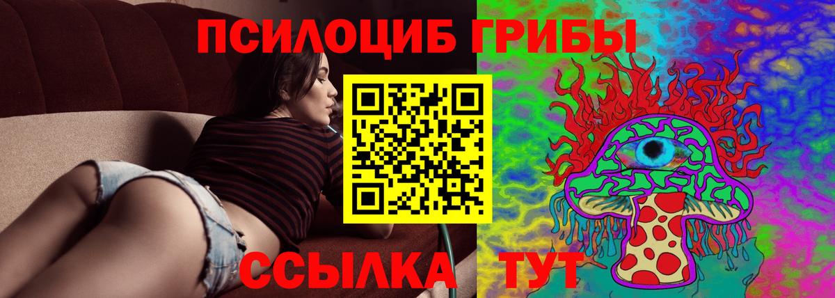 Псилоцибиновые грибы Cubensis Электрогорск