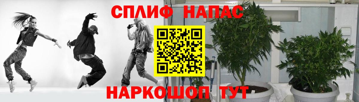 Конопля конопля Электрогорск